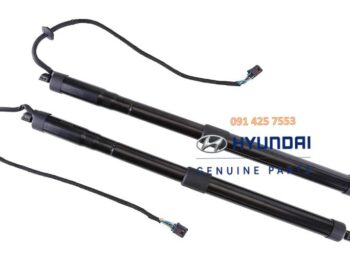 Ty Chống Cửa Hậu Xe SantaFe 2016-2018 Chính Hãng